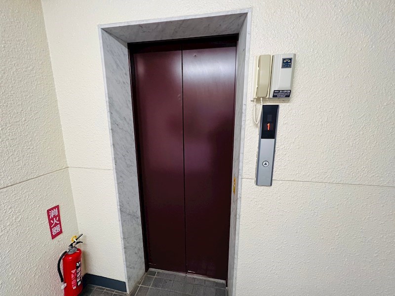 コートアオイ その他外観5