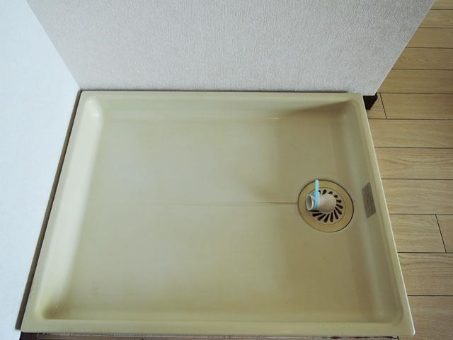 コートアオイ その他6