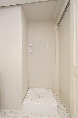 Ｓｕｎｎｙ　Ｓｉｄｅ　Ｆｏｒｅｓｔ その他4