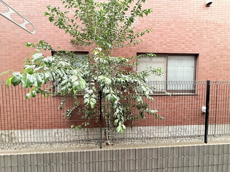 スターク亀有 その他6