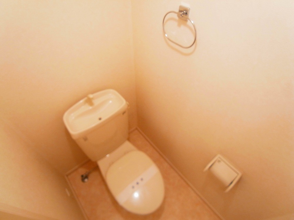 アルフリーベ  その他1