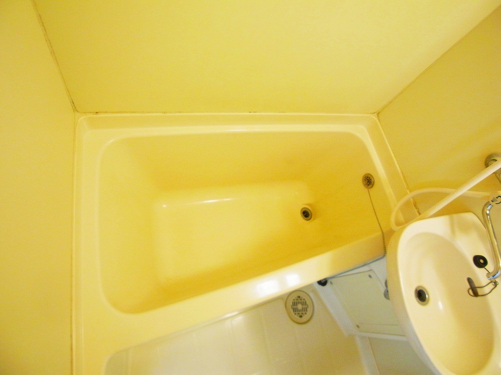 グレイス桜木   その他11