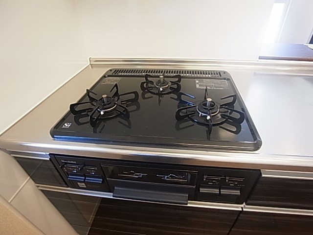 HANABUSA　Ⅰ その他20