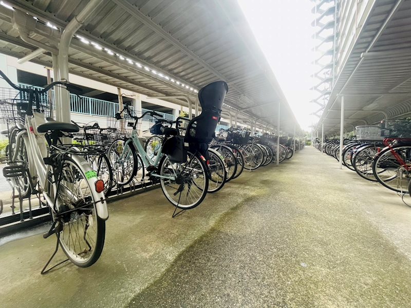 白井ロジュマン その他外観3