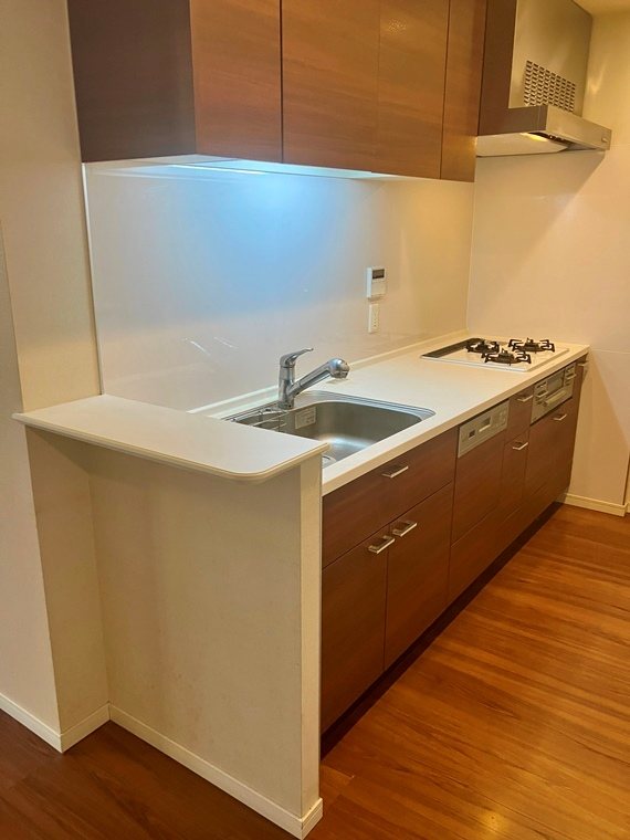 パークシティ柏の葉キャンパス二番街ミッドタワーＤ棟 キッチン