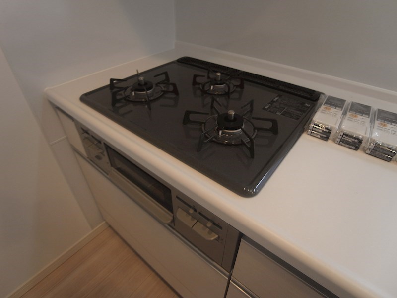 ラグゼナ流山おおたかの森 その他11