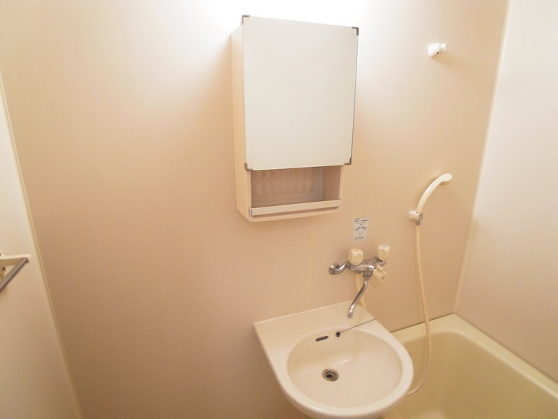 vaqueroB  その他2