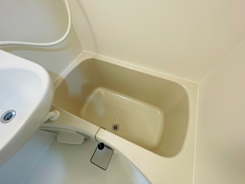 レーヴ扇 その他13