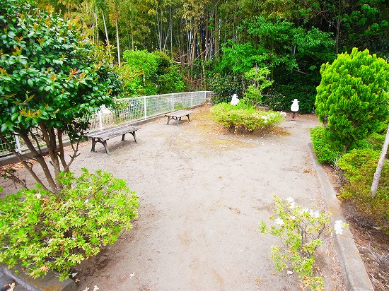 シャルマン　カーサⅡ その他外観6