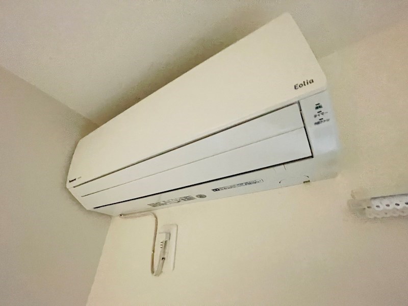 Lupinus見沼代 その他2