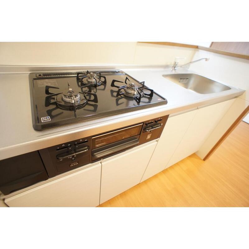 プラカーサ その他10