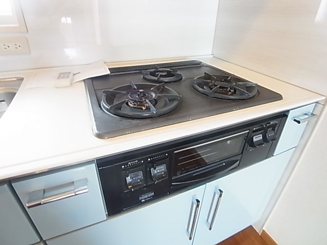 Ｗｅｓｔｅｎ　Ｆｅｌｄ（ウェステン　フェルト） その他18