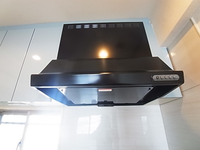 Ｗｅｓｔｅｎ　Ｆｅｌｄ（ウェステン　フェルト） その他19