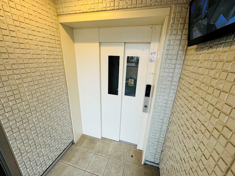 アドニス柏 その他外観5