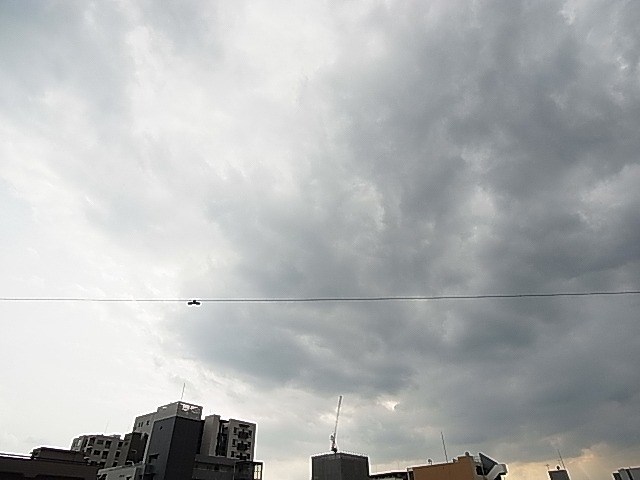 アトランティス綾瀬 その他8