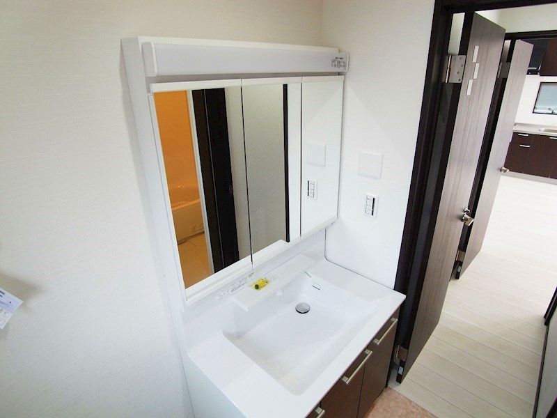 ウェルスA その他2