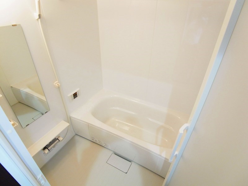 ウェルスA その他18