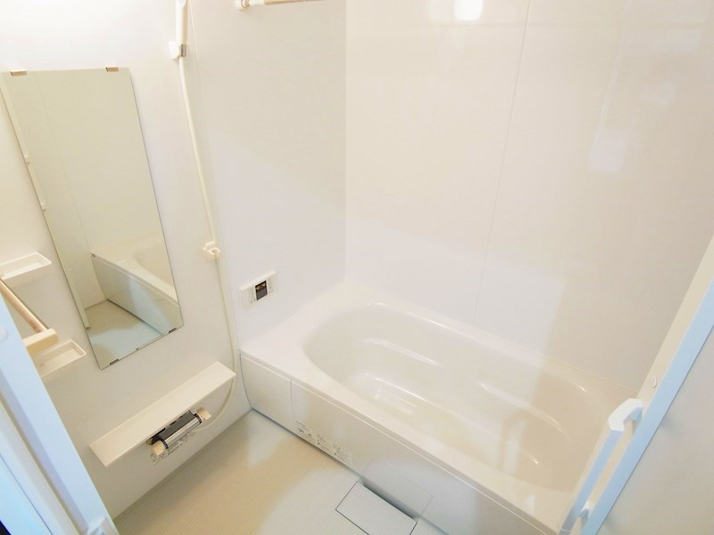 ウェルスA その他24