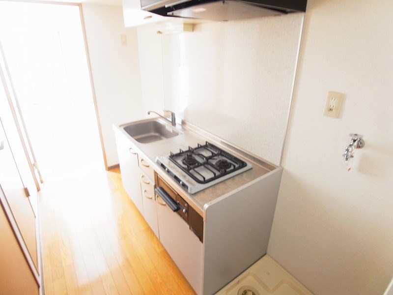 Ｃｅｎｔｒａｌ　Ｐｅｒｋ  その他8