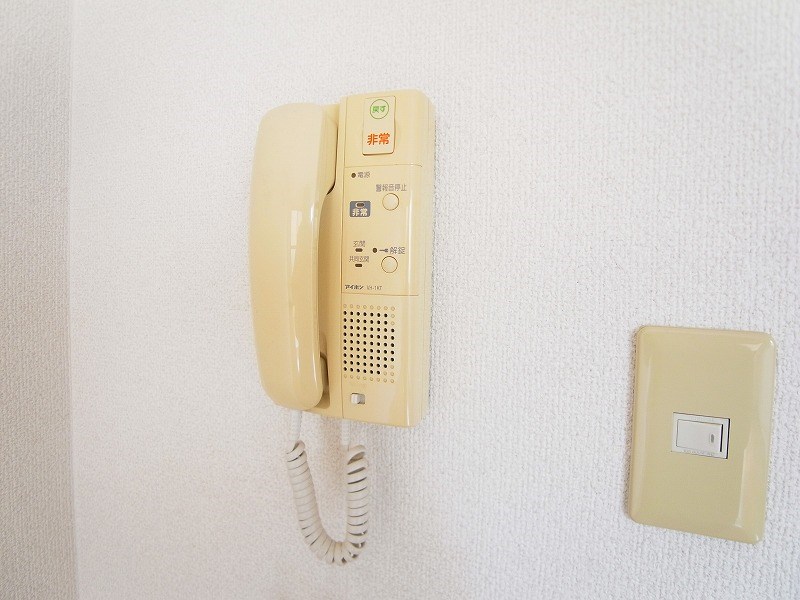 Ｃｅｎｔｒａｌ　Ｐｅｒｋ  その他13