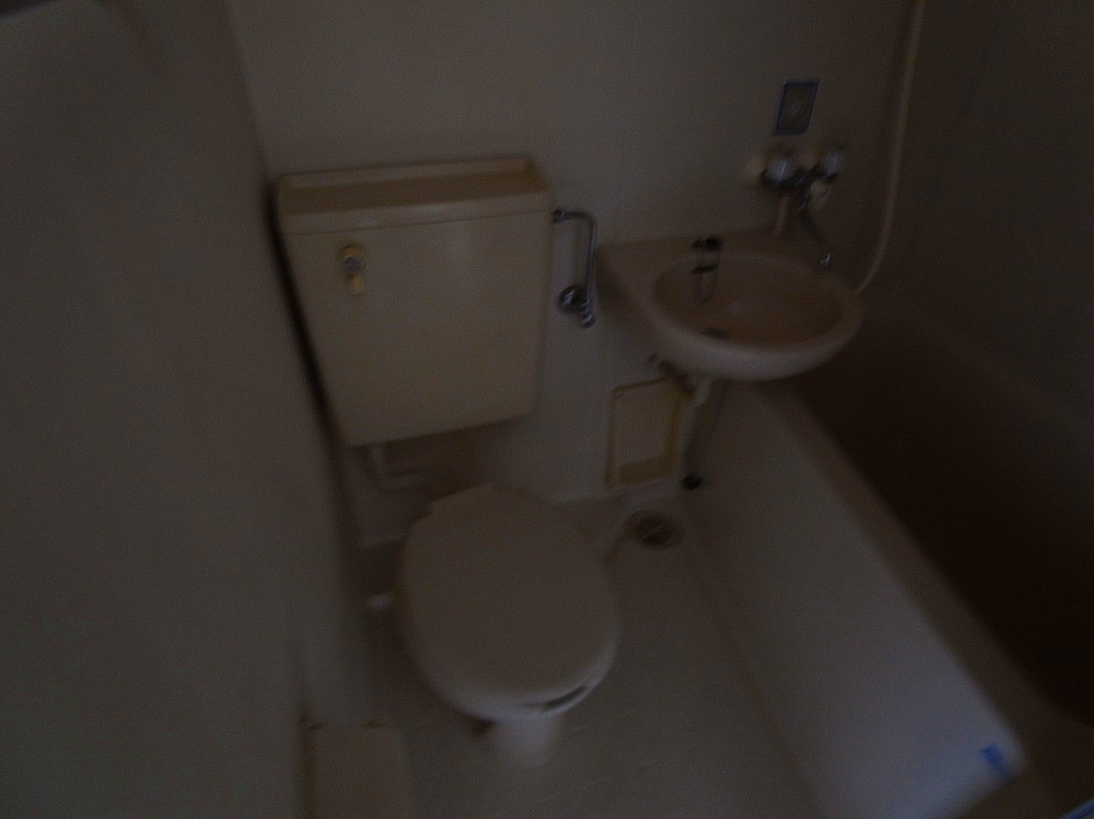 ブルーメ一ツ家33 その他11