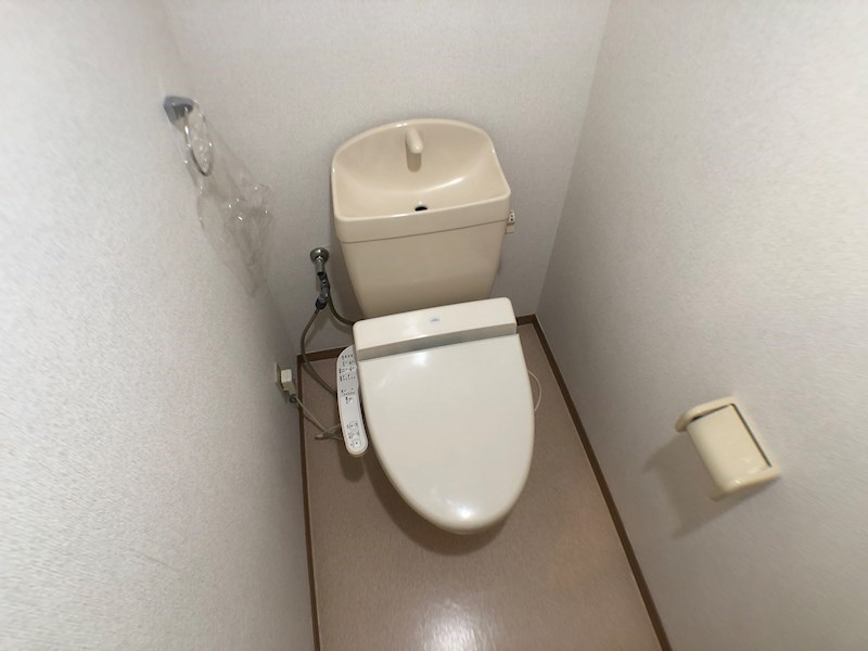 ヴィスターラ灯 その他1