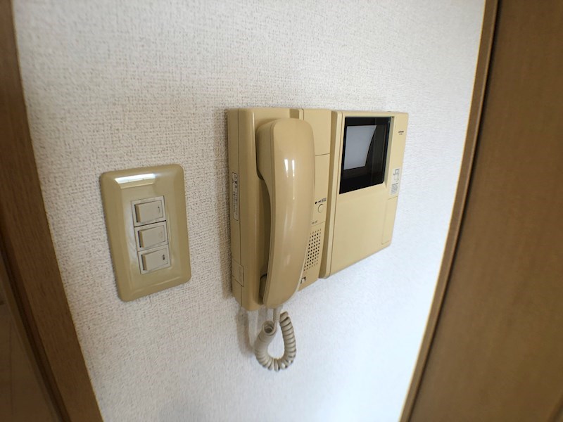 ヴィスターラ灯 その他5