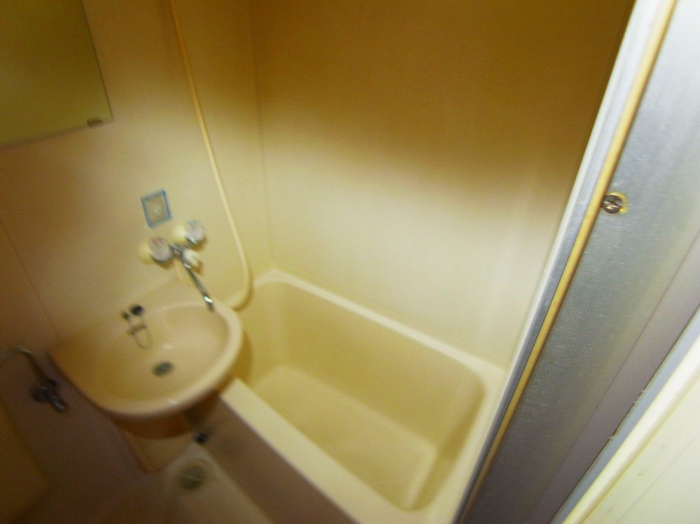 ブルーメ一ツ家33 その他12