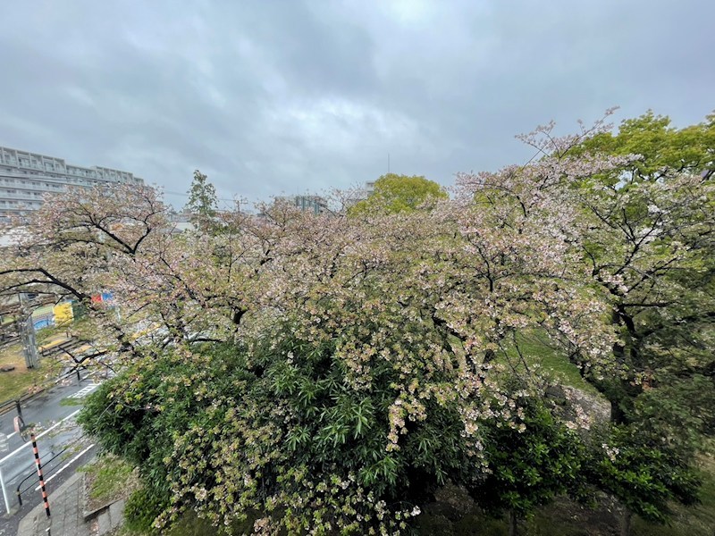 ルーブル綾瀬 その他6