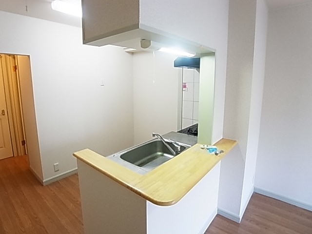 フランドール　タック その他10