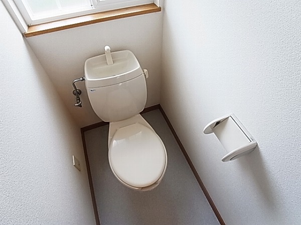 サンヒルズ柳沢２ その他1