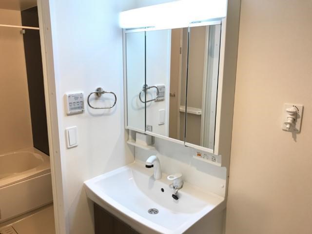 アザレア その他2