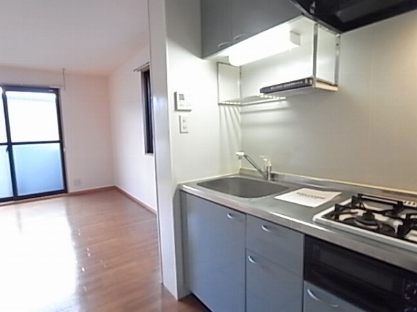 ベルドムールCTD その他9