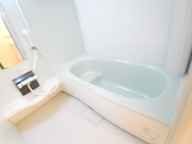 アネシスガーデンＡ 風呂画像