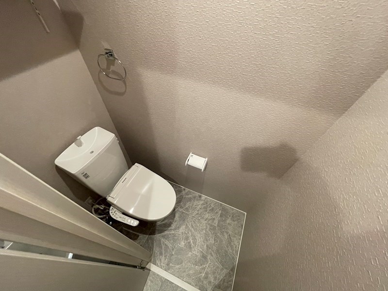 Shin Prana　シンプラーナ その他1