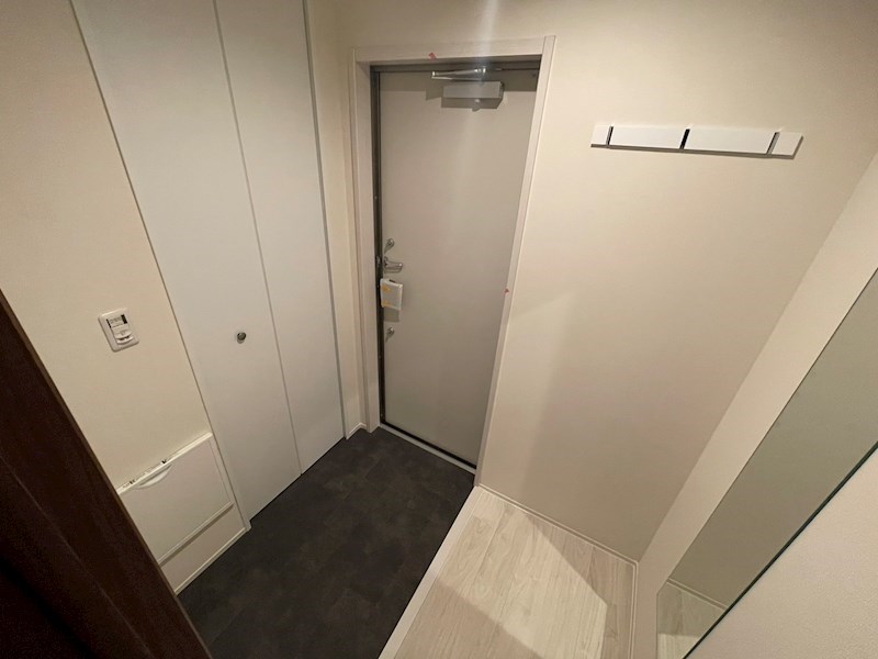 Shin Prana　シンプラーナ その他12