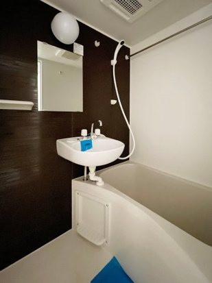 ハイスタンダード堀切 風呂画像