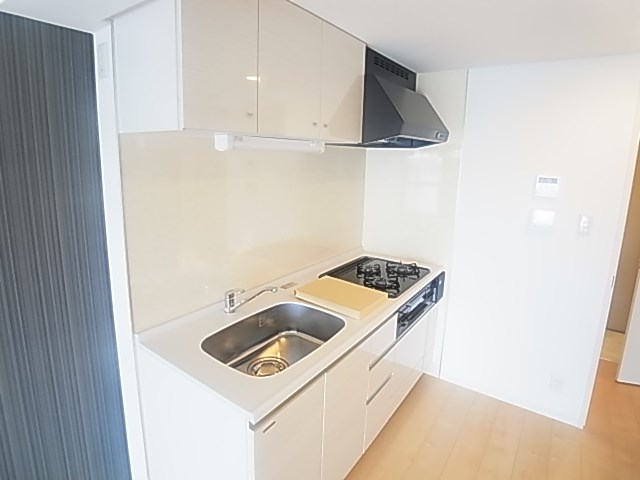 Ｗｈｉｌｅ　椿 その他11