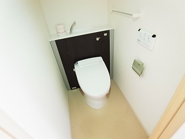 プラシード その他1