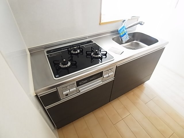 プラシード その他9