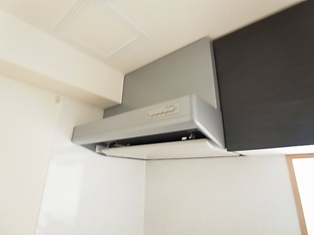 プラシード その他10