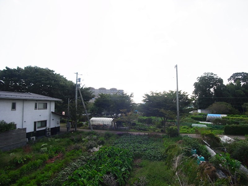 クレールルピナスＢ その他7