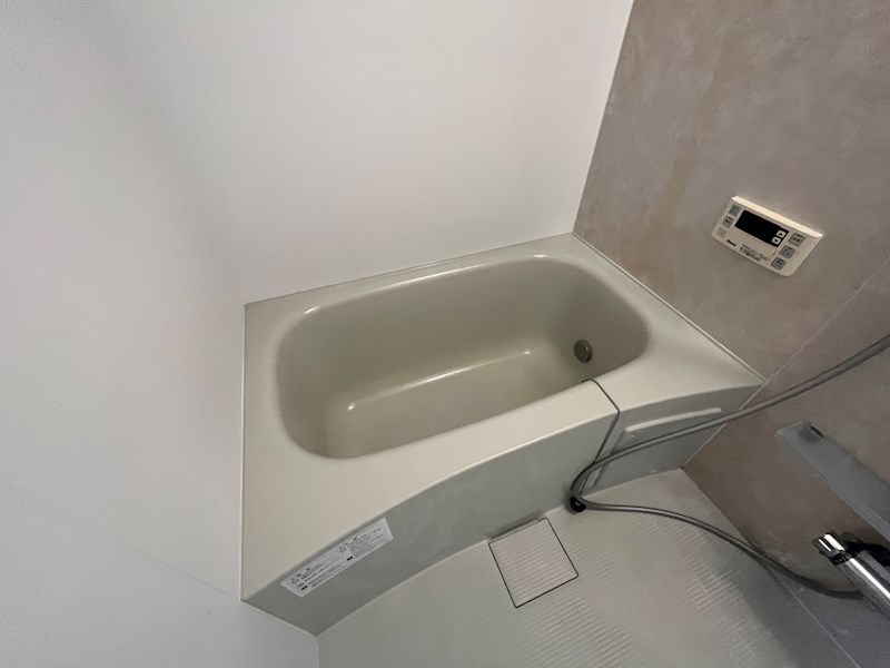 ラシーネ扇　アイリス その他9