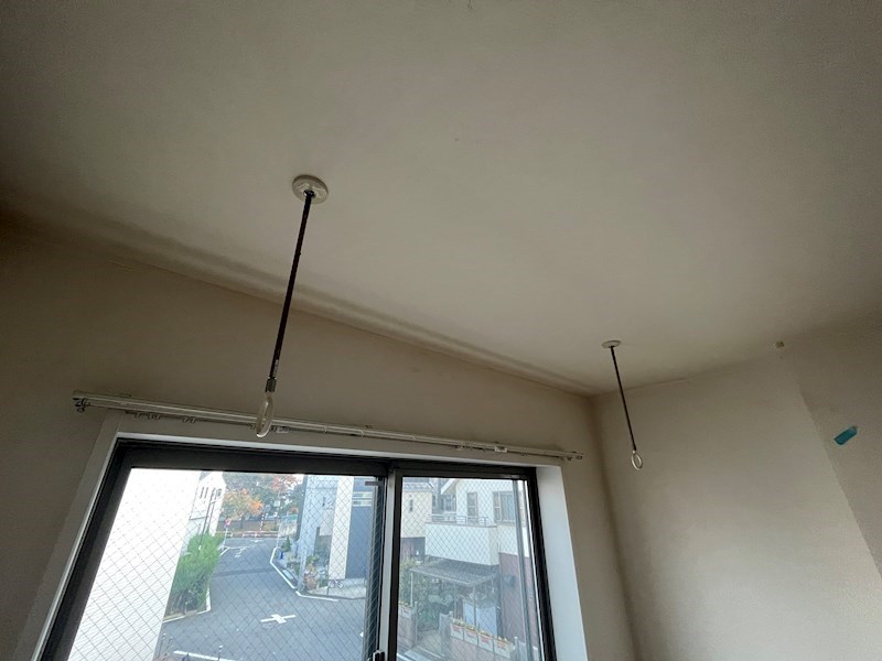 ラシーネ扇　アイリス その他14