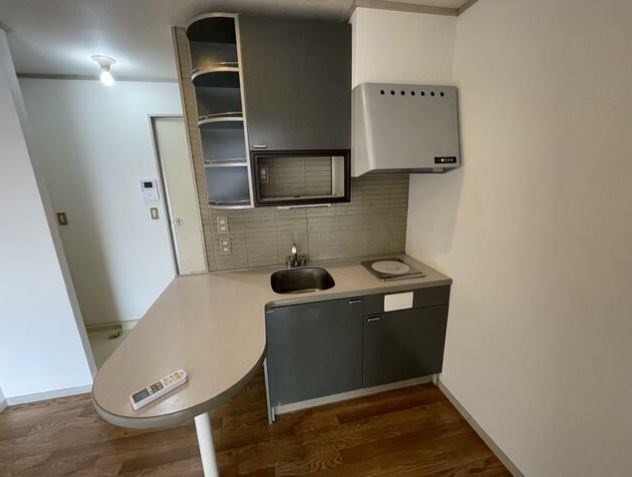 ドフィーヌ柏 その他11