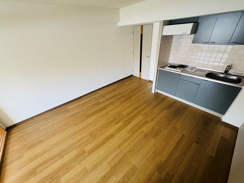 南柏堀ハイツ その他8