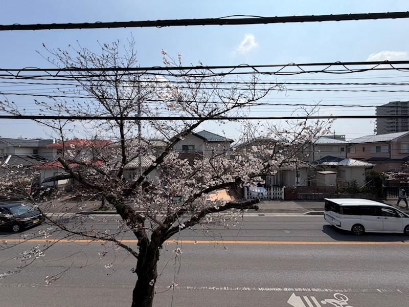 石塚ビル その他6