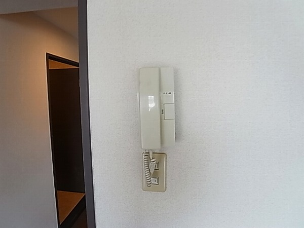 グリーン新柏 その他11