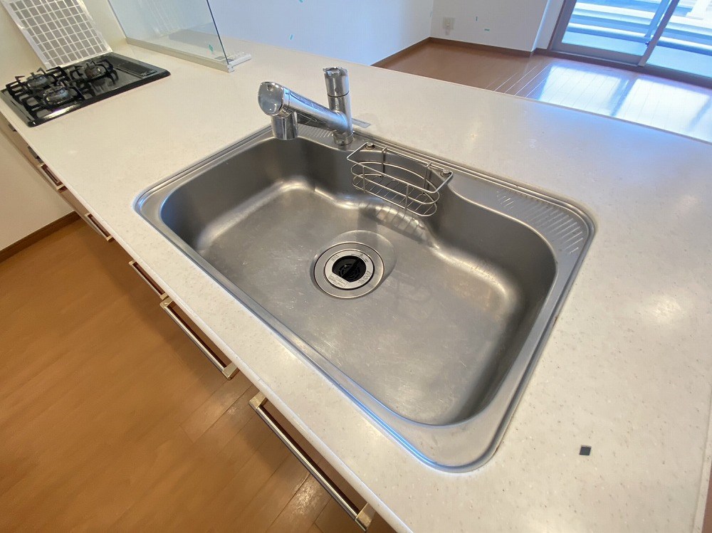 ロイヤルパークス新田 キッチン