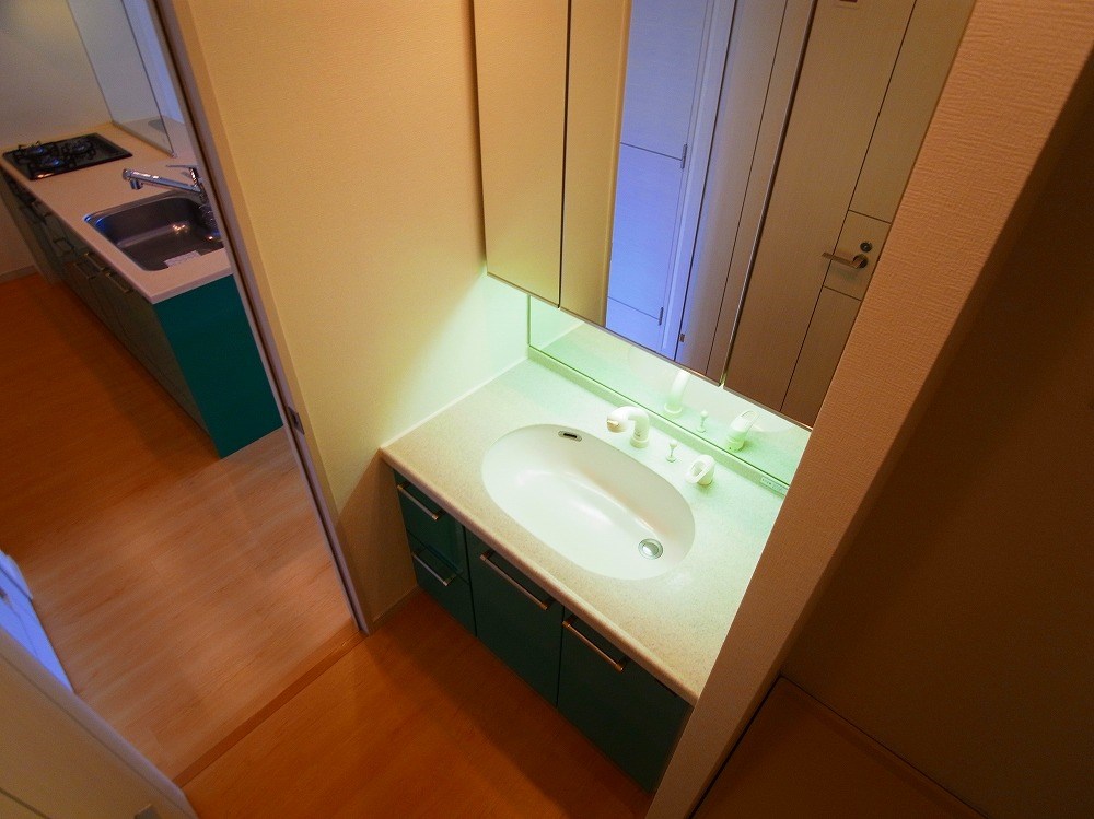 ロイヤルパークス新田 その他2